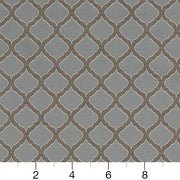 Charlotte - D1536 - Wedgewood Ogee - Fabric by the Yard - D1536 - D1536_Ruler
