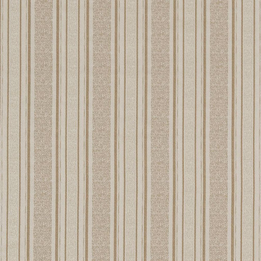 Charlotte - D1540 - Champagne Stripe - Fabric by the Yard Champagne Stripe