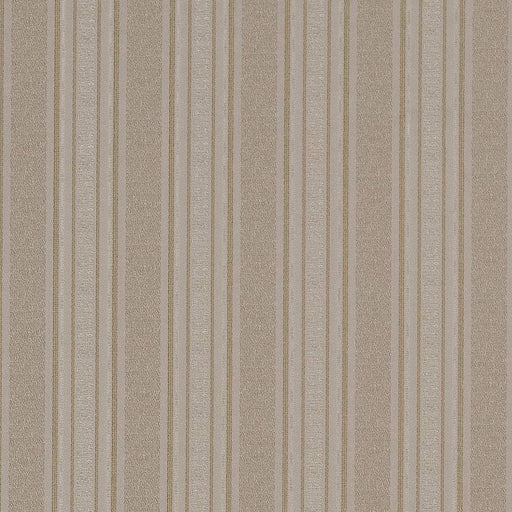 Charlotte - D1542 - Pewter Stripe - Fabric by the Yard Pewter Stripe