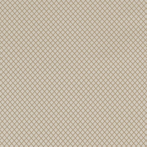 Charlotte - D1548 - Champagne Diamond - Fabric by the Yard Champagne Diamond