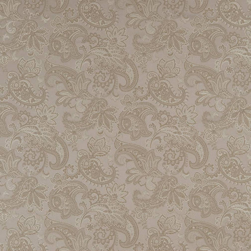 Charlotte - D1558 - Pewter Paisley - Fabric by the Yard Pewter Paisley