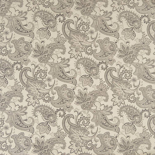 Charlotte - D1561 - Platinum Paisley - Fabric by the Yard Platinum Paisley