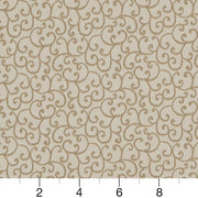 Charlotte - D1564 - Champagne Vine - Fabric by the Yard - D1564 - D1564_Ruler