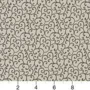 Charlotte - D1569 - Platinum Vine - Fabric by the Yard - D1569 - D1569_Ruler
