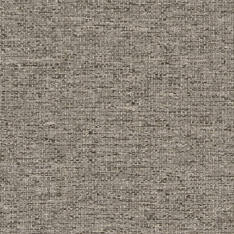 Charlotte - D1570 - Pewter - Fabric by the Yard Pewter