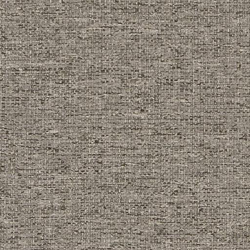 Charlotte - D1570 - Pewter - Fabric by the Yard Pewter
