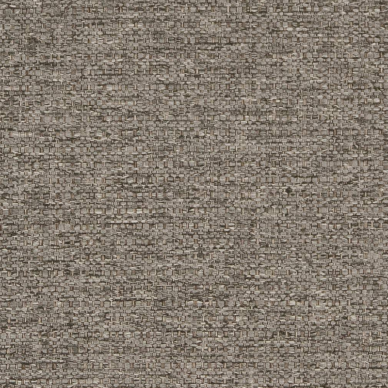 Charlotte - D1573 - Mineral - Fabric by the Yard Mineral