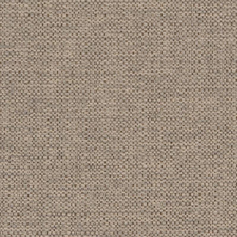 Charlotte - D1577 - Dove - Fabric by the Yard Dove