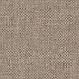Charlotte - D1577 - Dove - Fabric by the Yard