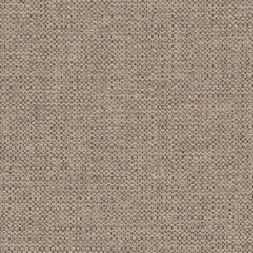 Charlotte - D1577 - Dove - Fabric by the Yard Dove