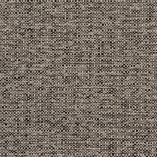 Charlotte - D1579 - Pepper - Fabric by the Yard Pepper