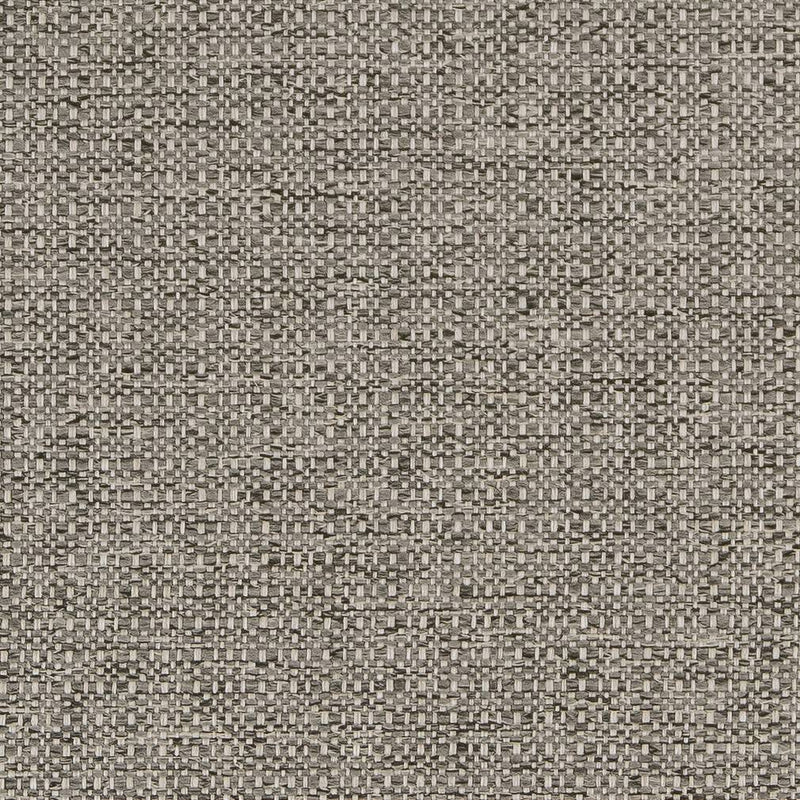 Charlotte - D1582 - Platinum - Fabric by the Yard Platinum