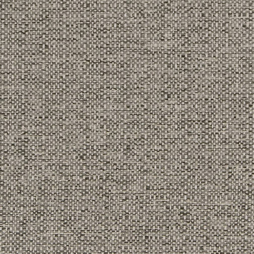 Charlotte - D1582 - Platinum - Fabric by the Yard Platinum