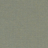 Charlotte - D1583 - Mist - Fabric by the Yard