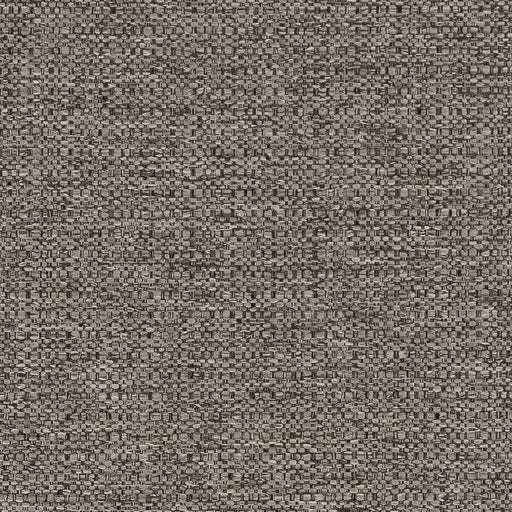 Charlotte - D1584 - Pebble - Fabric by the Yard Pebble