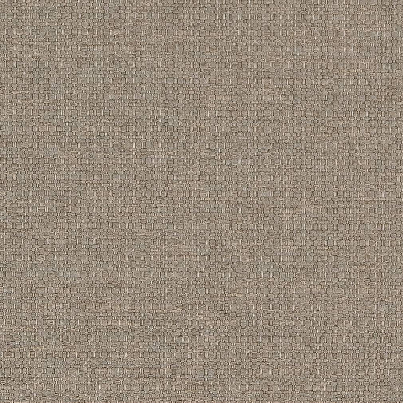 Charlotte - D1586 - Stone - Fabric by the Yard Stone