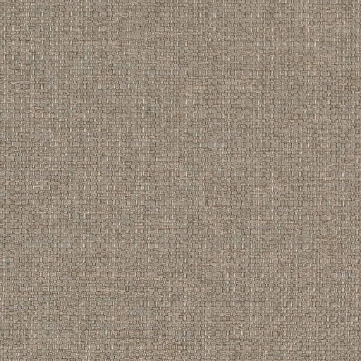 Charlotte - D1586 - Stone - Fabric by the Yard Stone