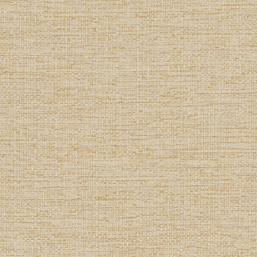 Charlotte - D1589 - Cashew - Fabric by the Yard Cashew