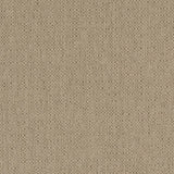 Charlotte - D1593 - Dune - Fabric by the Yard