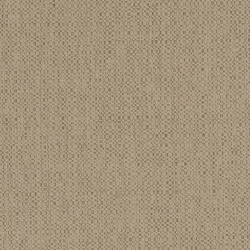 Charlotte - D1593 - Dune - Fabric by the Yard Dune
