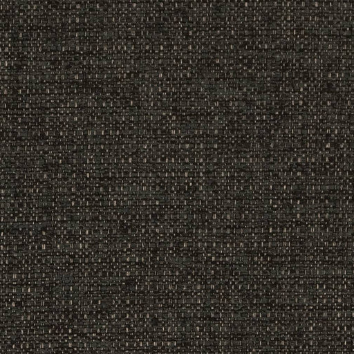 Charlotte - D1597 - Charcoal - Fabric by the Yard Charcoal