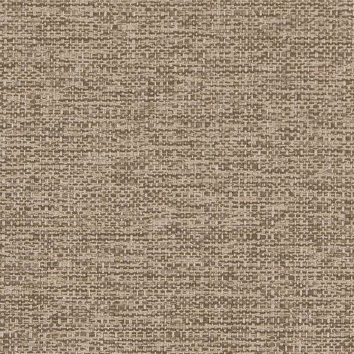 Charlotte - D1598 - Taupe - Fabric by the Yard Taupe