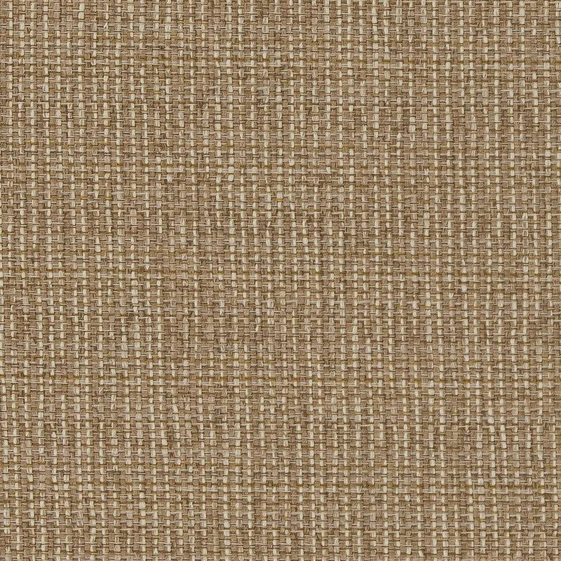 Charlotte - D1610 - Almond - Fabric by the Yard Almond