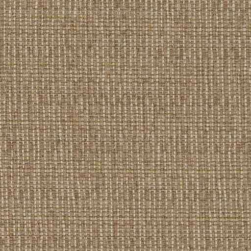 Charlotte - D1610 - Almond - Fabric by the Yard Almond