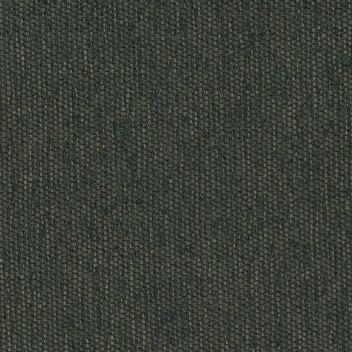 Charlotte - D1613 - Cypress - Fabric by the Yard Cypress
