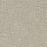 Charlotte - D1614 - Greige - Fabric by the Yard