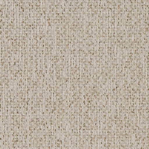 Charlotte - D1619 - Birch - Fabric by the Yard Birch