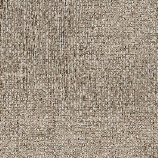 Charlotte - D1621 - Mushroom - Fabric by the Yard Mushroom