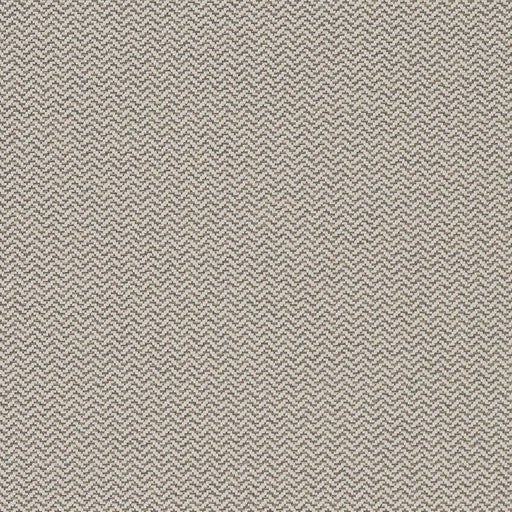 Charlotte - D1622 - Zinc - Fabric by the Yard Zinc