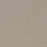 Charlotte - D1624 - Pewter - Fabric by the Yard