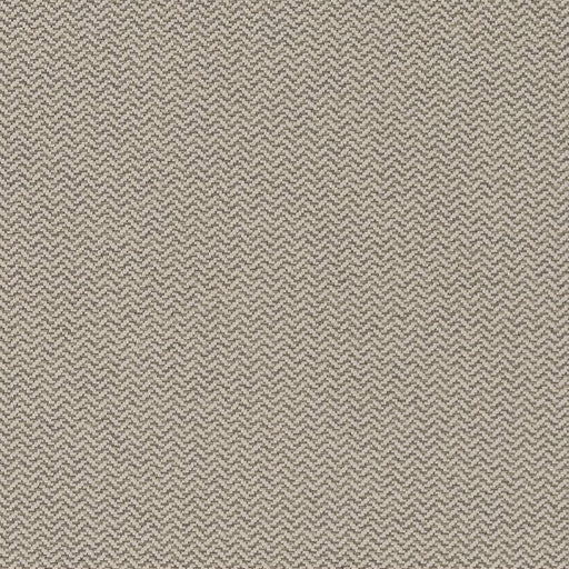 Charlotte - D1624 - Pewter - Fabric by the Yard Pewter