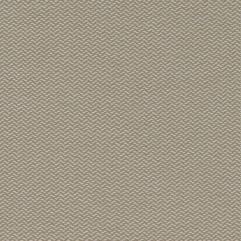 Charlotte - D1625 - Cloud - Fabric by the Yard Cloud