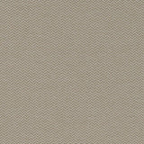 Charlotte - D1625 - Cloud - Fabric by the Yard