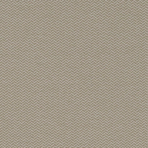 Charlotte - D1625 - Cloud - Fabric by the Yard Cloud