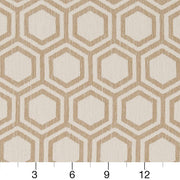 Charlotte - D1635 - Sand Dollar - Fabric by the Yard - D1635 - D1635_Ruler