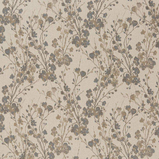 Charlotte - D1645 - Oxford - Fabric by the Yard Oxford
