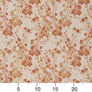Charlotte - D1646 - Harvest - Fabric by the Yard - D1646 - D1646_Ruler