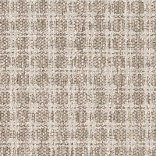 Charlotte - D1647 - Moonstone - Fabric by the Yard Moonstone