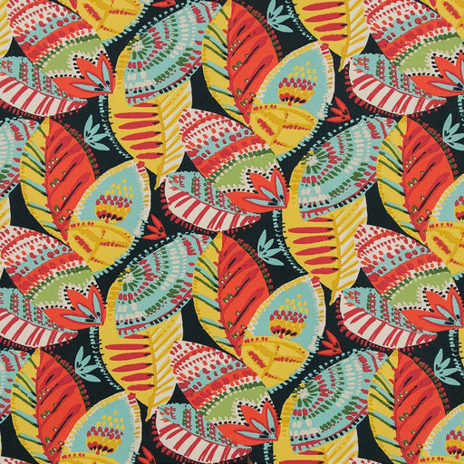 Charlotte - D1660 - Monterey - Fabric by the Yard Monterey