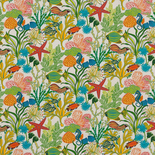 Charlotte - D1663 - Reef - Fabric by the Yard Reef