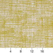 Charlotte - D1674 - Lime - Fabric by the Yard - D1674 - D1674_Ruler