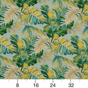 Charlotte - D1689 - Valencia - Fabric by the Yard - D1689 - D1689_Ruler
