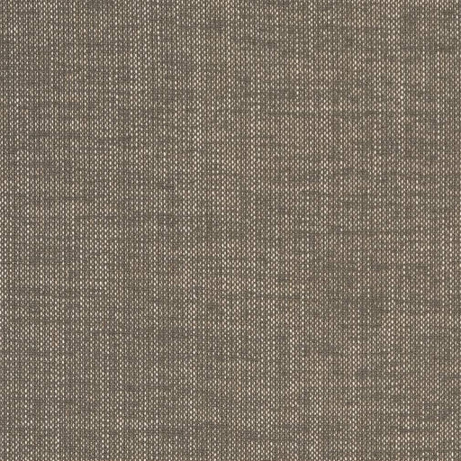 Charlotte - D1703 - Slate - Fabric by the Yard Slate