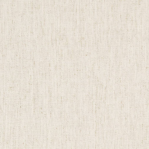 Charlotte - D1704 - Cotton - Fabric by the Yard Cotton