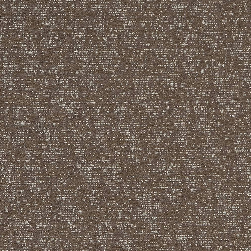 Charlotte - D1710 - Ash - Fabric by the Yard Ash