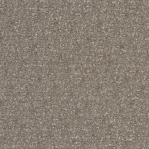 Charlotte - D1715 - Granite - Fabric by the Yard Granite